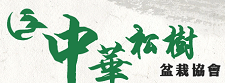中華松樹盆栽協會